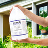 Winsol Crystal Clear 550