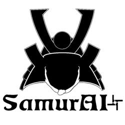 Samurai Belts & Holster