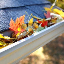 Gutter Cleaning